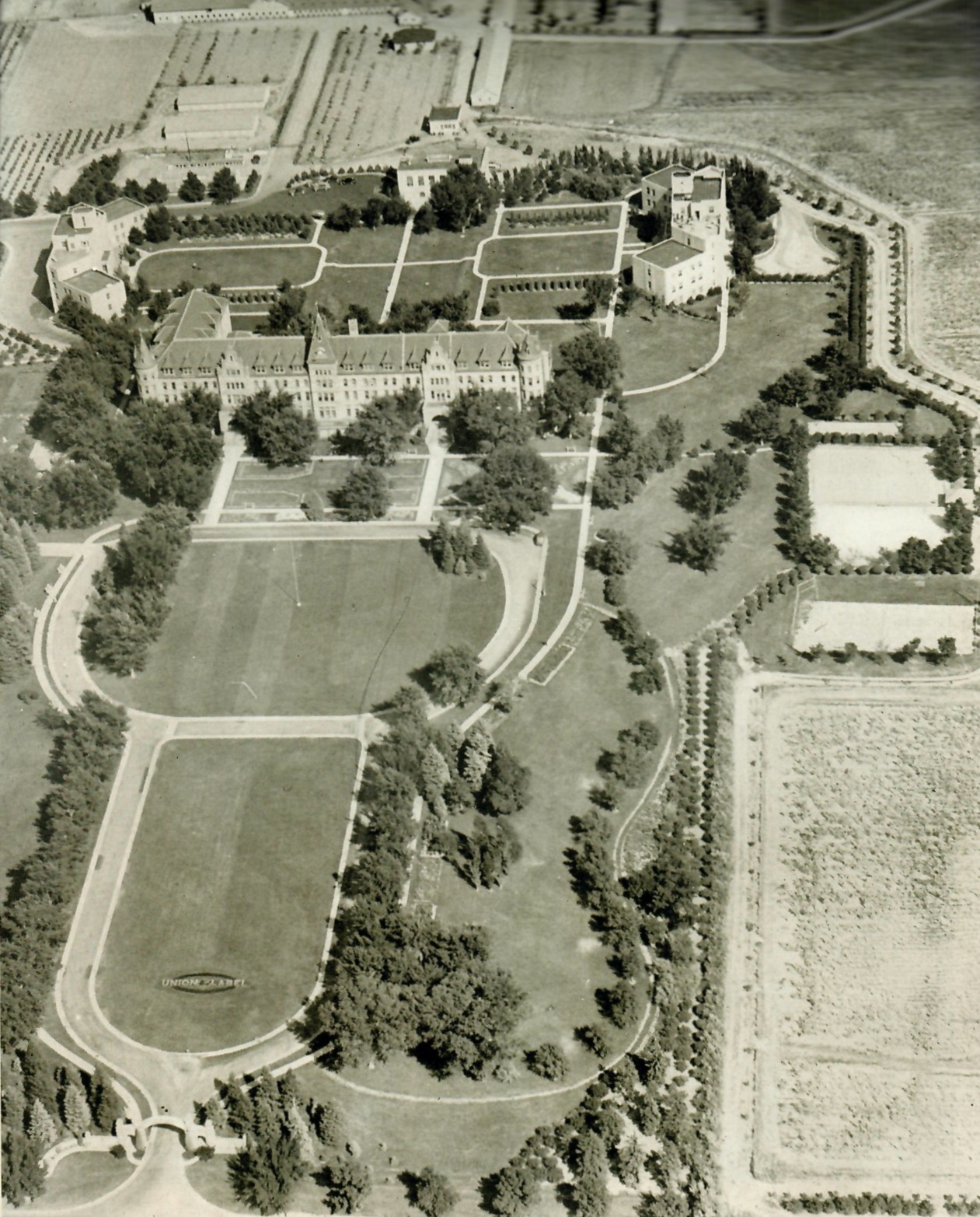 BirdsEye1942